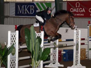 20080405_170804 Wilhelmina Wallmark Golden Fire